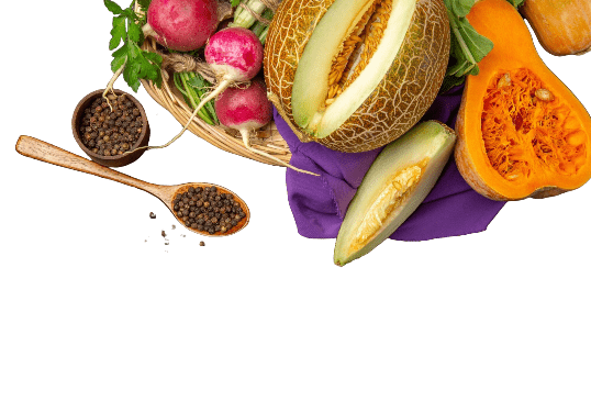 OUR PRODUCT LINE TOP IMAGE