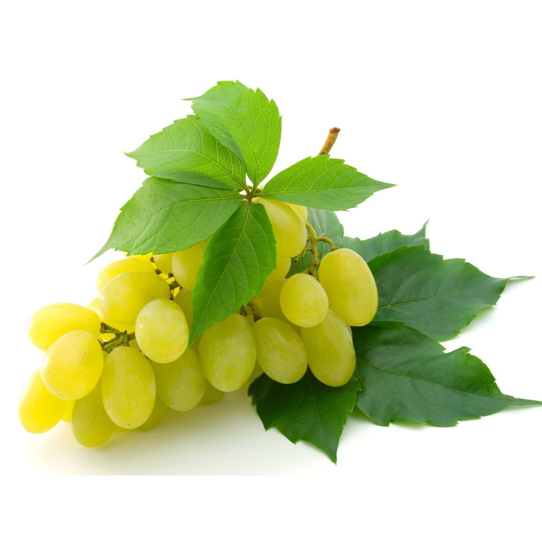Indian Fresh Grapes