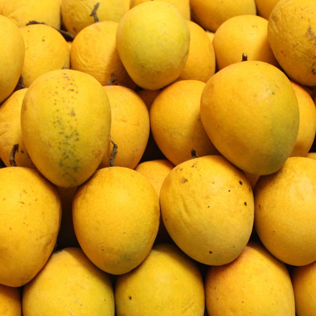 Indian Fresh Mango