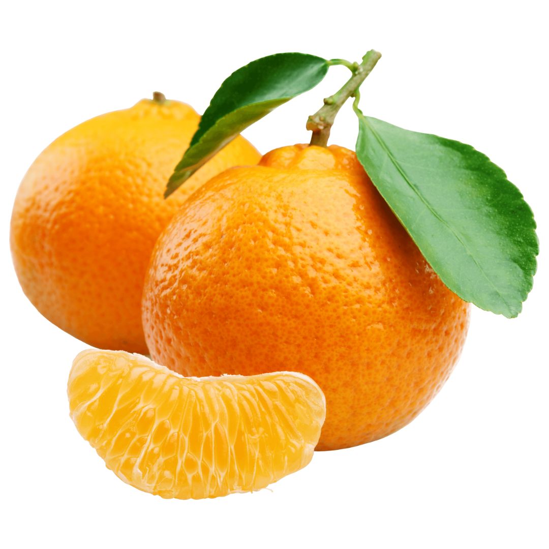 Indian Fresh Oranges