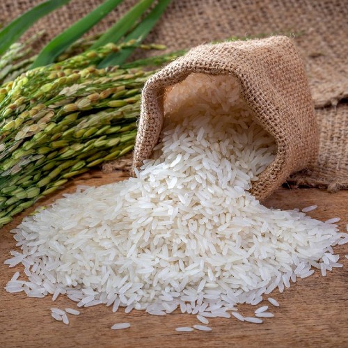 india shorbati sharbati rice